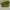 Nike Air Force 1 low white green photo 4