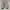 Adidas Pureboost cloud white photo 2
