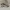 Adidas Pureboost cloud white photo 1