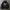 MLB New York Yankees Hoodie photo 1