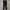 THE REDFACE Skinny Fit Softshell Outdoor Pants photo 3
