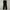 CRACK JACK Slim Fit Parachute Outdoor Pants photo 3
