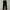 CRACK JACK Slim Fit Parachute Outdoor Pants