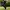 CRACK JACK Slim Fit Parachute Outdoor Pants photo 1