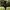 CRACK JACK Slim Fit Parachute Outdoor Pants