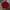 RALPH LAUREN Shoulder Patch Half Zip Knit photo 6
