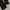 WESTWOOD Slim Fit Leopard Camouflage Softshell Outdoor Pants photo 7