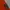 MOUNTIA Skinny Fit Nylon Outdoor Cargo Pants photo 5