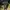 KOLON SPORT Slim Fit Parachute Outdoor Pants photo 1