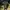 KOLON SPORT Slim Fit Parachute Outdoor Pants