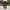 BLACKYAK Skinny Fit Softshell Outdoor Pants photo 1