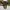 BLACKYAK Skinny Fit Softshell Outdoor Pants