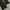 K2 Regular Fit Softshell Outdoor Pants photo 7