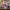 KOLONI4D VIP EXCLUSIVE 2025 TERPECAYA photo 1