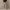 ZARA MAN Slim Tapered Corduroy Pants