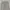 ZARA MAN Slim Tapered Corduroy Pants photo 4