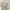 Y2K Luxury Bodycon dress Wanita cream photo 3