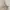 Y2K Luxury Bodycon dress Wanita cream photo 5