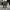 BLUECAP Regular Fit Lightweight Cargo Pants photo 1