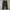 JOHN OWNBEY COMPANY Rare Vintage 50’s M51 Field Trousers photo 2