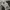 JOHN OWNBEY COMPANY Rare Vintage 50’s M51 Field Trousers photo 5