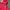 TNF Hyvent Twotone Red photo 8