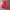 TNF Hyvent Twotone Red photo 5