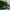 Exsport Daily Casual Totepack Green Army photo 4