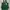 Exsport Daily Casual Totepack Green Army