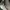 Exsport Daily Casual Totepack Green Army photo 5