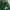 Exsport Daily Casual Totepack Green Army photo 2
