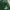 Exsport Daily Casual Totepack Green Army