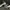 Jordan 13 series  He's got game photo 5