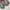 Champion Varsity Classic Sweatshirt – AUTHENTIC photo 4