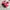 Puma Whirlwind 'red' photo 4