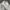 Rovello Polo Vintage Old Money photo 2