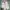 Adidas Stan Smith Shoes photo 1