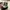Converse 70s auth  photo 2