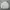 Willon Knit Sweter Optical White