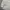 Willon knit sweter optical white photo 3