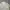 Willon knit sweter optical white photo 2