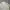 Willon Knit Sweter Optical White