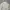 Willon knit sweter optical white photo 4