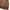 Coogi ppfm issey miyake kapital knitwear 3d photo 5