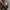 HERSCHEL DAWSON BACKPACK WOODLAND CAMO 13L photo 3