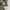 HERSCHEL DAWSON BACKPACK WOODLAND CAMO 13L photo 6