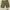 Avirex Military Pants photo 1