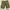 Avirex Military Pants