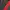 THE NORHT FACE HYVENT MP3 photo 5