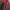 THE NORHT FACE HYVENT MP3 photo 4